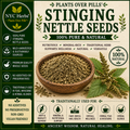 Stinging Nettle Seeds c/s | Kidney Strength & Adrenal Support
